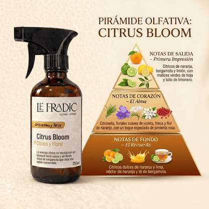 Piramide olfativa de home Spray Citrus Bloom de Le Fradic - Chile